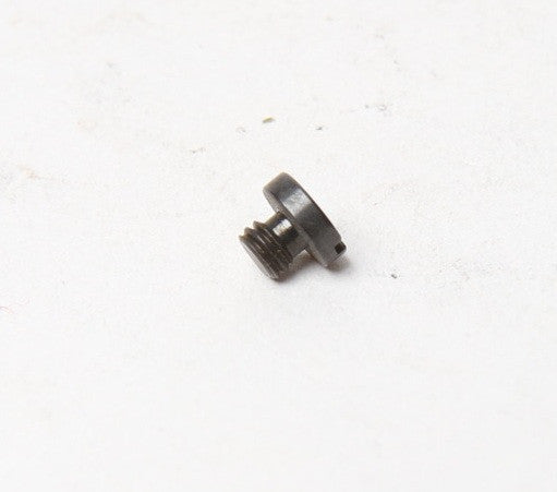 Screw with part model number SS6080320SP 