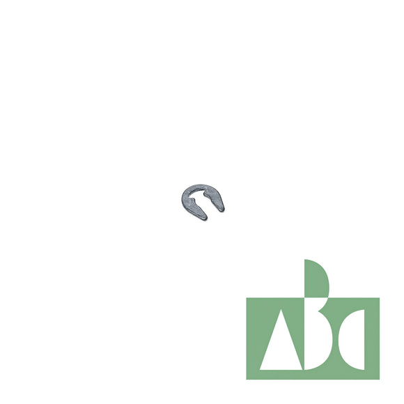 B2541372000 SNAP RING