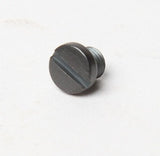 Screw SS7110410SP - head