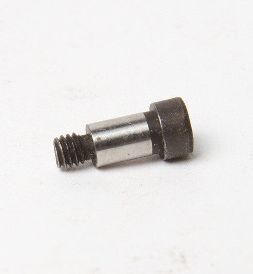 Hinge Screw SD0460703TP 